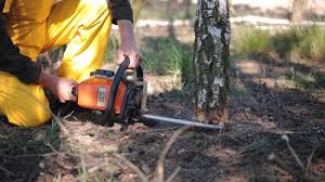 Best Lawn Grading and Leveling  in View Park Windsor Hills, CA